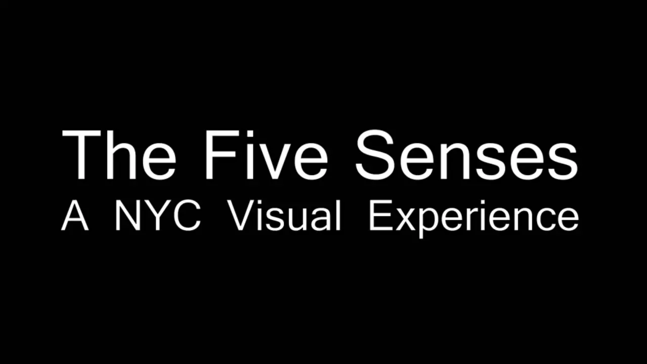 The Five Senses: A NYC Visual Experience