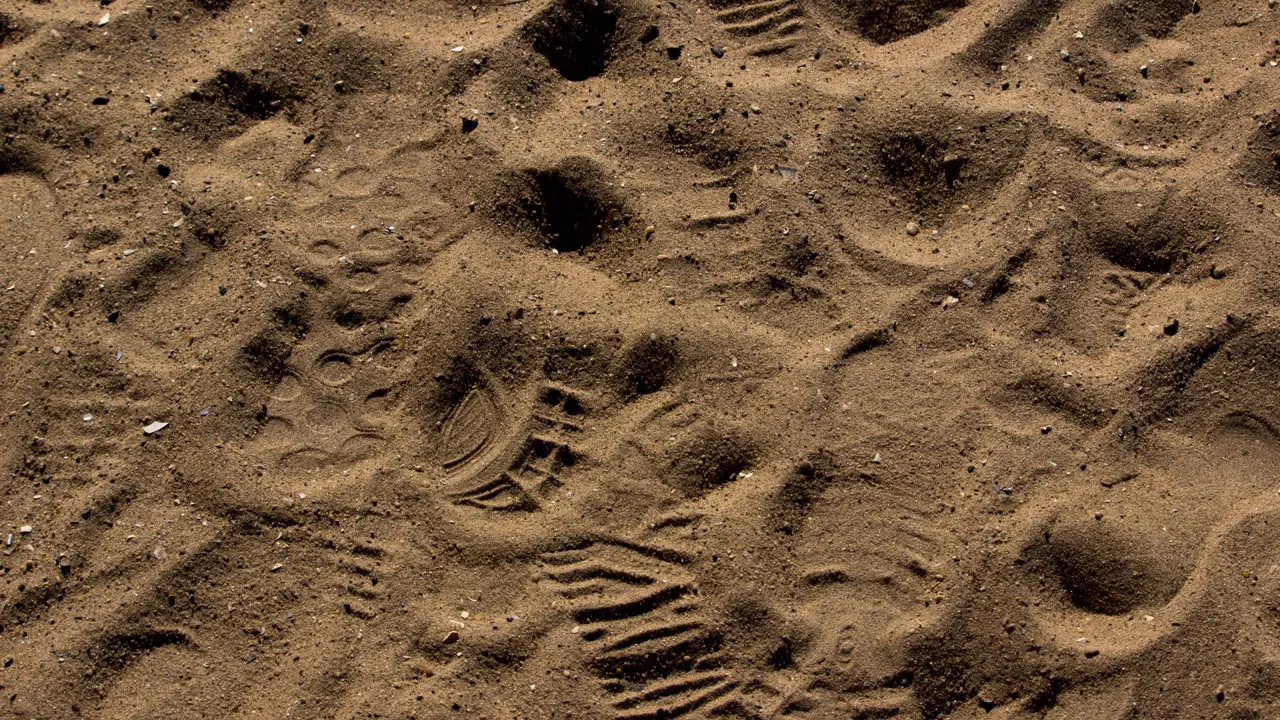 Footprints in the sand.