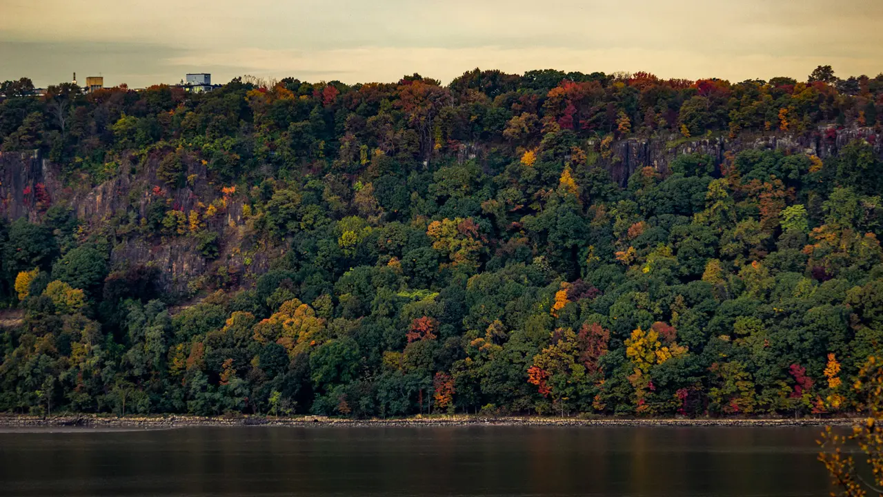 Looking toward the changing leaf colors in New Jersey.