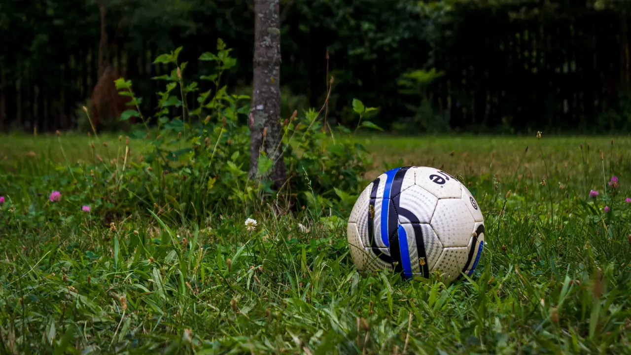 A soccer ball resting in the grass.