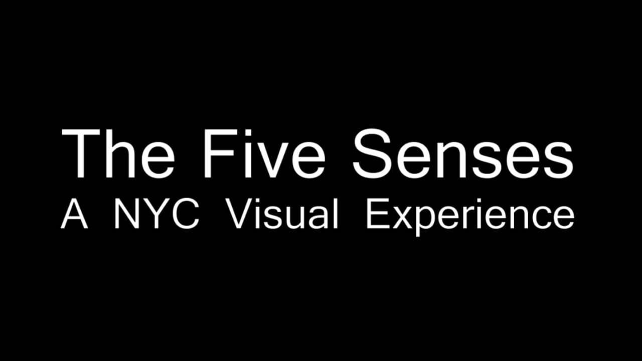 The Five Senses: A NYC Visual Experience