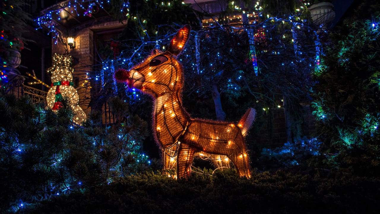 Lit reindeer outside of a person's home.
